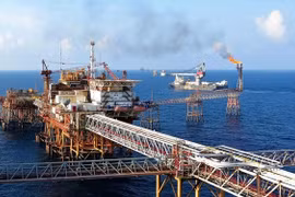 Proposition d'investissement mise en évidence dans le complexe pétrochimique du Vietnam
