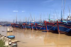 100% des navires de pêche à Binh Dinh devront avoir un certificat de sécurité alimentaire en juin