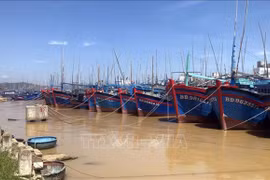 Le Vietnam lutte contre la pêche illicite, non déclarée et non réglementée