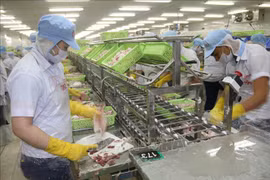 Les exportations de Tien Giang ont augmenté de 19,8% en sept mois