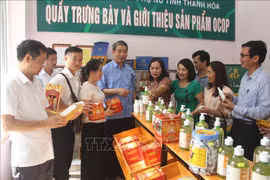 Thanh Hoa compte 24 nouveaux produits aux normes OCOP