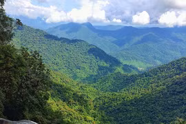 Les 10 parcs nationaux les plus attrayants du Vietnam
