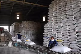Les prix du riz vietnamien à leur plus haut niveau depuis 2 ans