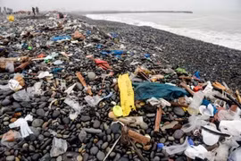 L'Alliance pour mettre fin aux déchets plastiques se concentre sur l'Asie du Sud-Est
