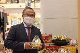 Les bananes vietnamiennes à la conquête du marché japonais