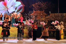 La fête des fleurs de bauhinie en mars à Dien Bien