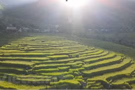 Le tourisme communautaire fait son chemin à Pu Luong