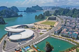 La route côtière Ha Long-Cam Pha, un des itinéraires côtiers les plus beaux du Vietnam