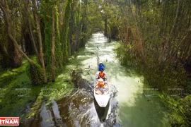 Excursion touristique à Long An 