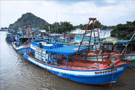 Pêche INN : Kien Giang travaillera avec des inspecteurs de la CE 