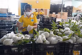Passerelle pour les entreprises vietnamiennes et malaisiennes