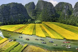 Ninh Binh se prépare activement pour l’Année nationale du tourisme 2020