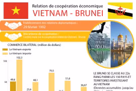 Relation de coopération économique Vietnam - Brunei