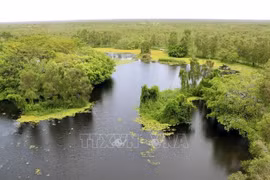 Le parc national d'U Minh Thuong, une destination éco-touristique hospitalière