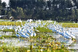 Long An développe sa marque touristique
