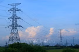 Signature d'un contrat de deux appels d'offres pour importer de l'électricité du Laos au Vietnam