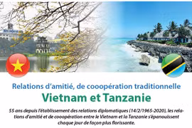 Relations d’amitié et de cooopération traditionnelle entre le Vietnam et la Tanzanie 