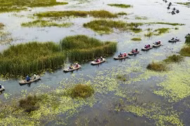 La Réserve naturelle de Vân Long, une "baie sans vagues" à Ninh Binh