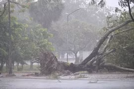 Tempête Noul : un mort, des dizaines de blessés au Centre