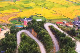 Circuits du Têt avec Saigontourist