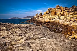 Réserve de biosphère de Nui Chua, un paradis pour les tortues marines