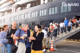 Da Nang accueille 1.250 croisiéristes étrangers au début de l’Année du Rat