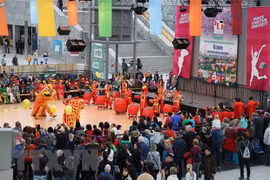 Un festival marquant les 45 ans des relations diplomatiques Vietnam-Allemagne