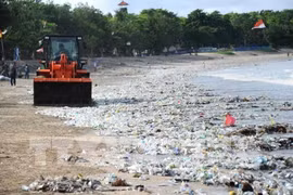 ASEAN-Norvège : lancement du projet de coopération dans la lutte contre la pollution plastique