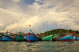 Binh Thuan oeuvre pour mettre fin à la pêche INN