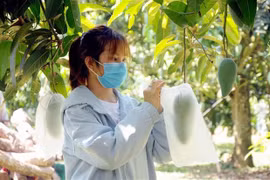 Le Royaume-Uni attache une importance à la coopération agricole avec le Vietnam