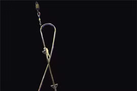Le Festival international du cirque en met plein les mirettes