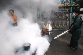 La Thaïlande fait des efforts pour endiguer l’épidémie de la dengue