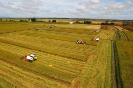Agriculture : le Vietnam ambitionne de figurer parmi les 15 pays les plus développés du monde