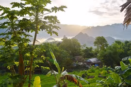 Des destinations touristiques à ne pas manquer à Thanh Hoa