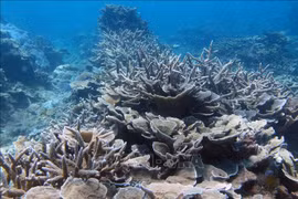 Approuver le projet de construction de la base de données nationale sur la biodiversité