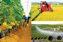 L’agriculture durable au Vietnam: un mouvement qui se développe