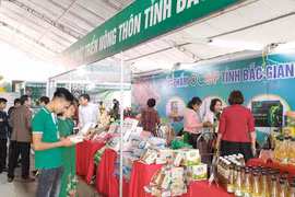 Bac Giang diversifie et améliore la qualité de ses produits OCOP