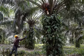La Malaisie et l’Inde vont travailler à l’amélioration de leurs relations