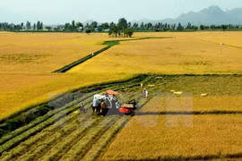 Satake veut fournir des machines agricoles modernes à Can Tho