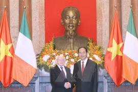 Belles perspectives pour les relations Vietnam-Irlande