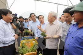 Le secrétaire général du PCV Nguyen Phu Trong à Ha Tinh