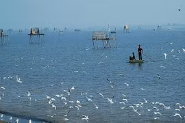 Dans la province de Nam Dinh : les joies du tourisme communautaire