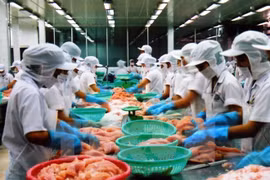 L’ALE entre l’UEEA et le Vietnam élargit les possibilités de coopération commerciale Vietnam-Russie