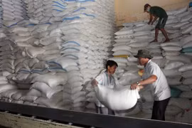 Coup d'arrêt pour les exportations de riz en 2016
