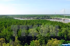 Système d'information pour une meilleure gestion des forêts