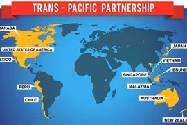 Le Vietnam accélère la ratification du TPP