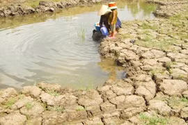 Vietnam et Canada échangent d’expériences sur la résilience aux changements climatiques