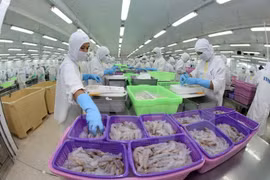 Des entreprises européennes cherchent des opportunités de coopération au Vietnam