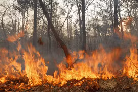L'Indonésie en alerte contre les fumées d'incendies