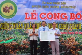 Longane Châu Thành - Dông Thap : une nouvelle appellation d'origine